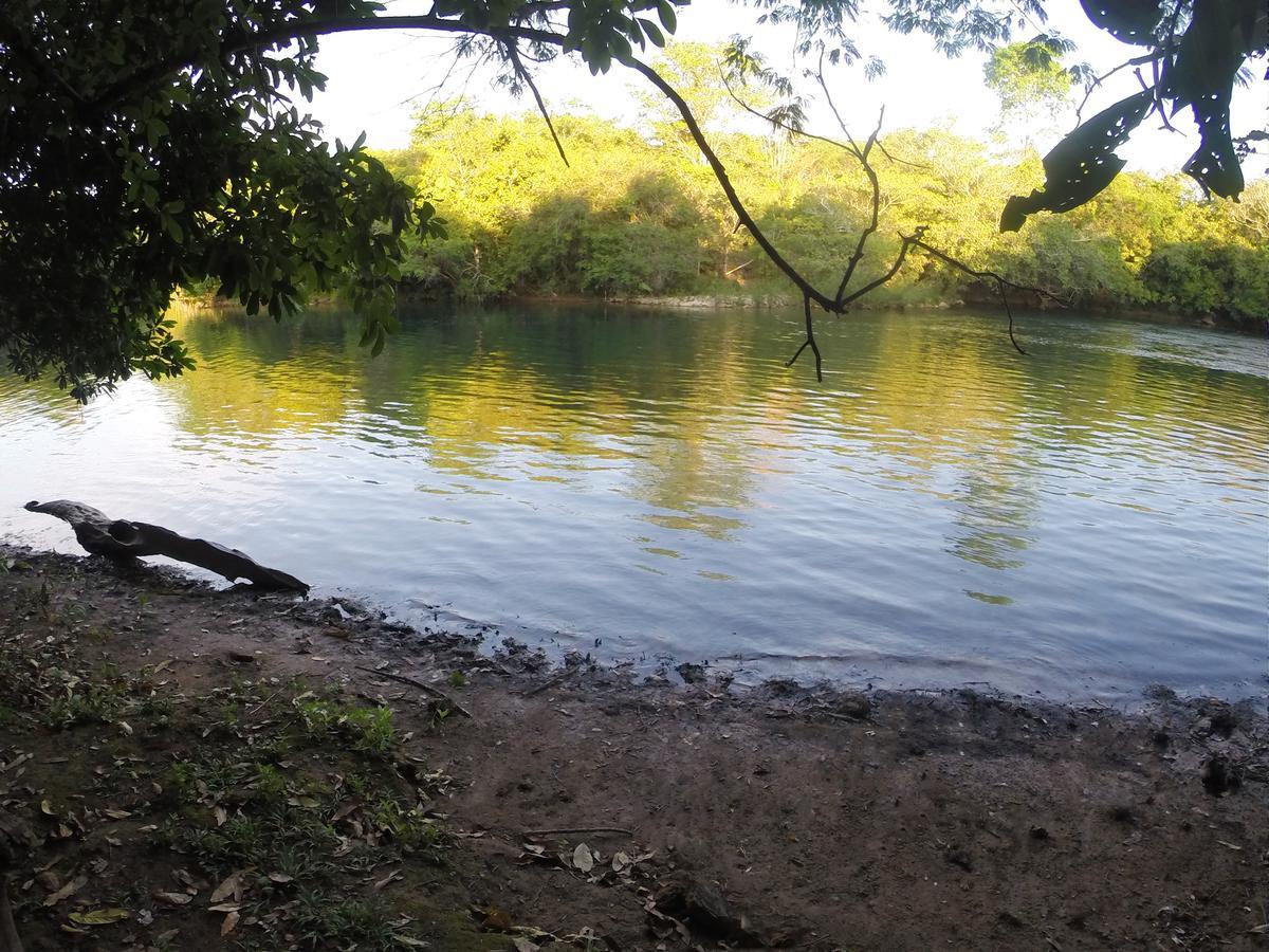 Hotel Fazenda Rio Formoso โบนิโต ภายนอก รูปภาพ